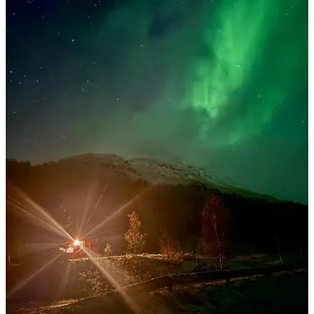 Aurora Haven Kovan