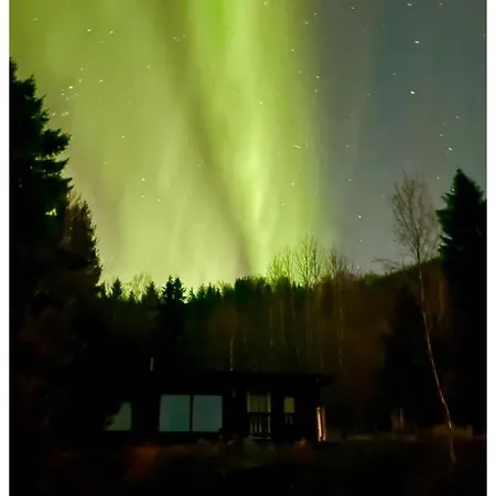 Aurora Haven *